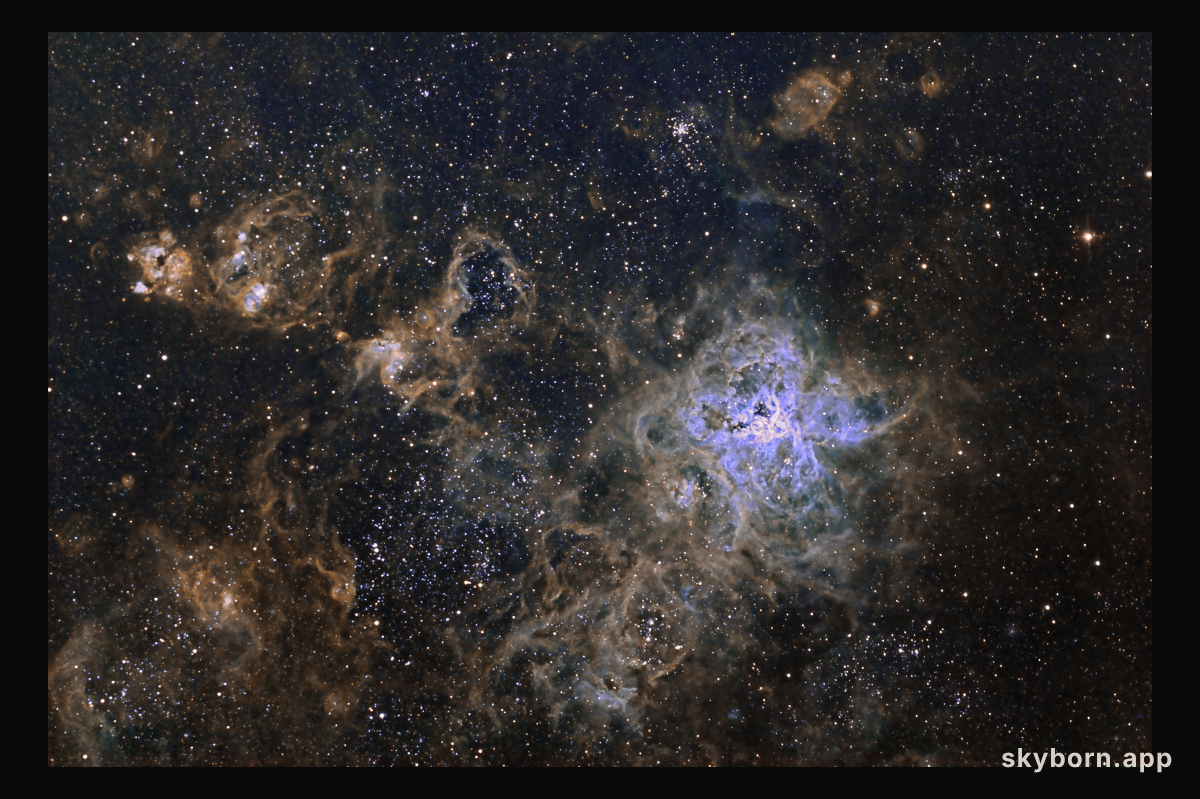 The Cosmic Web of the Tarantula Nebula