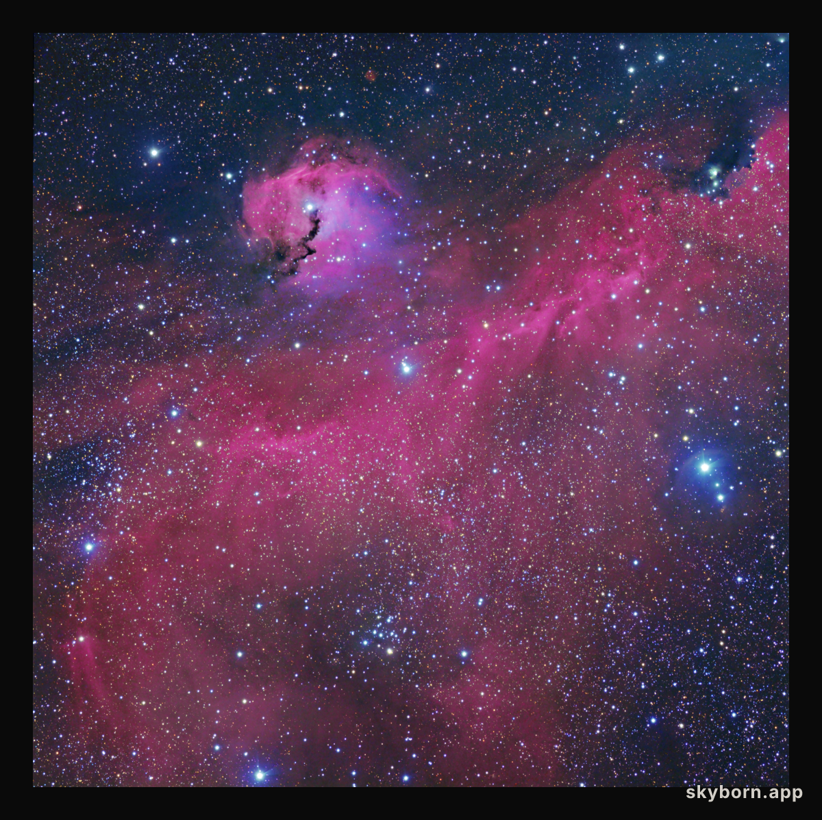 The Seagull Nebula