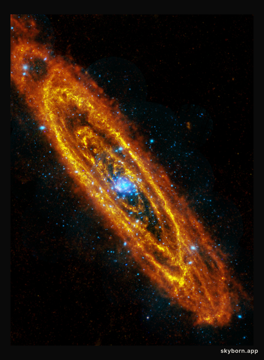 The Once and Future Stars of Andromeda