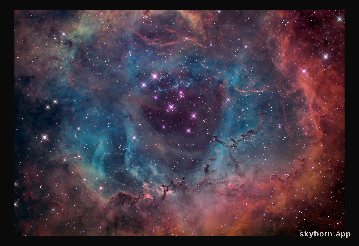 The Rosette Nebula