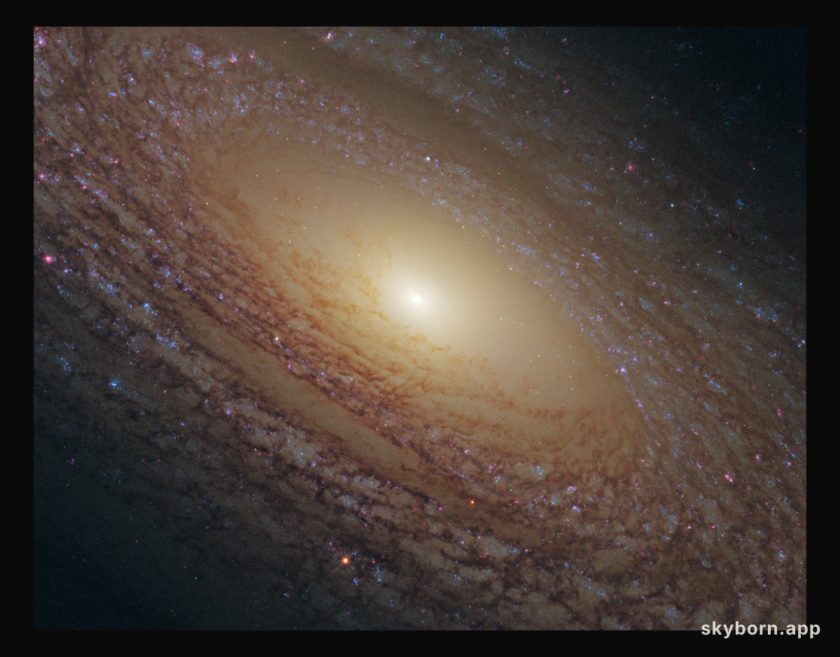 Spiral Galaxy NGC 2841 Close Up