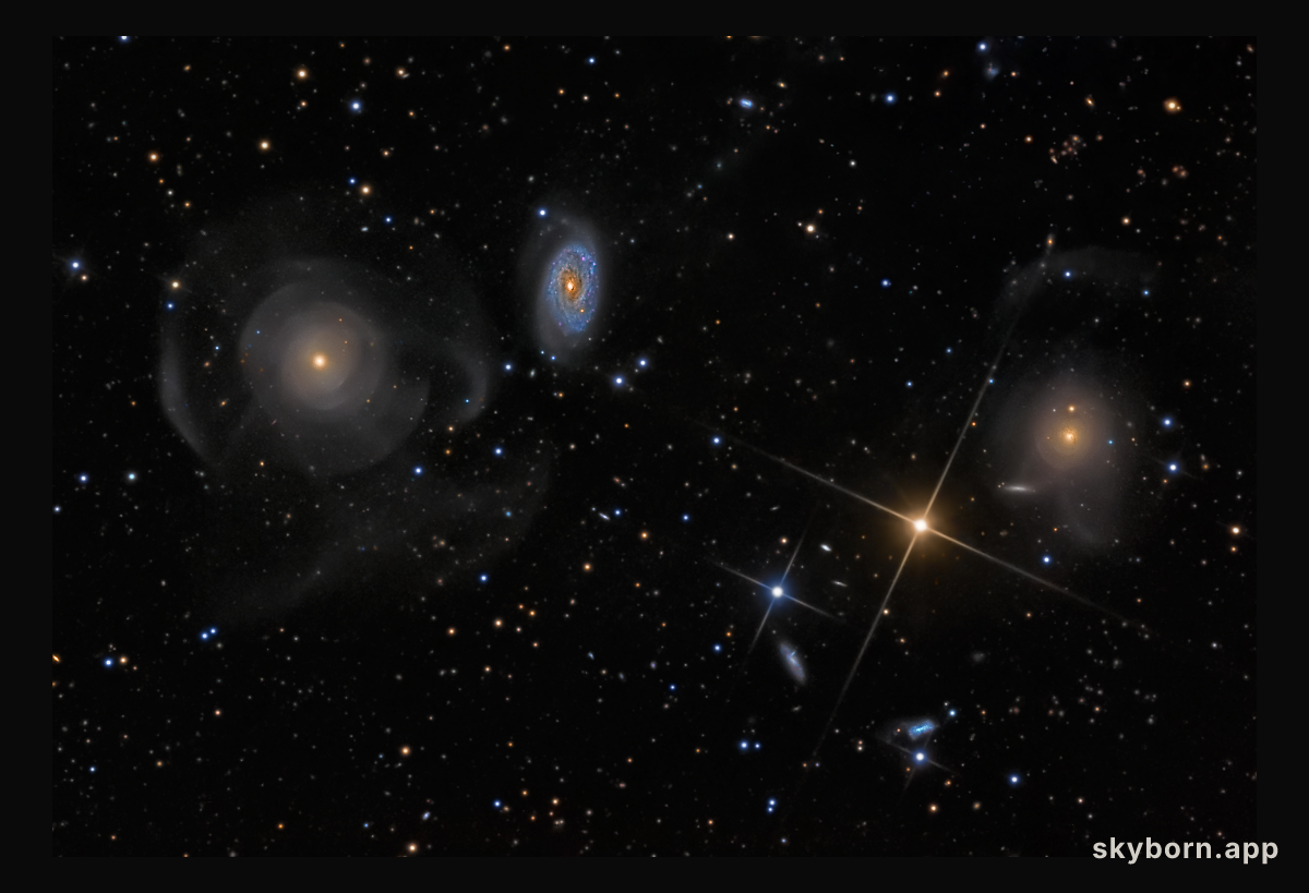 Shell Galaxies in Pisces