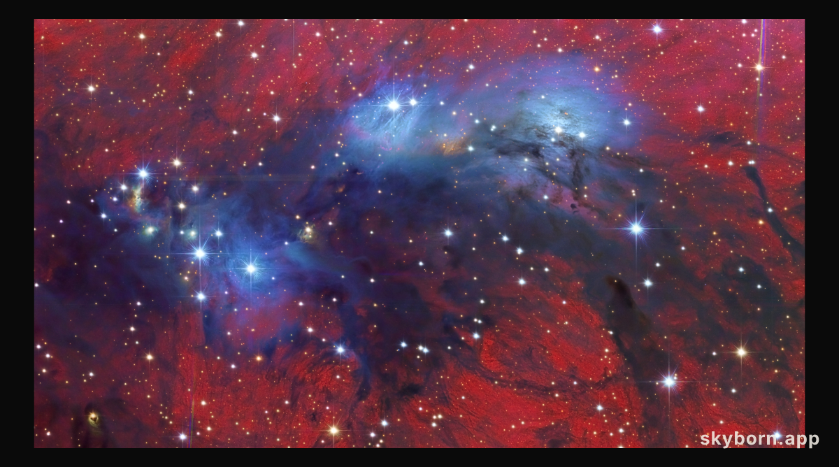 NGC 6914 Nebulae