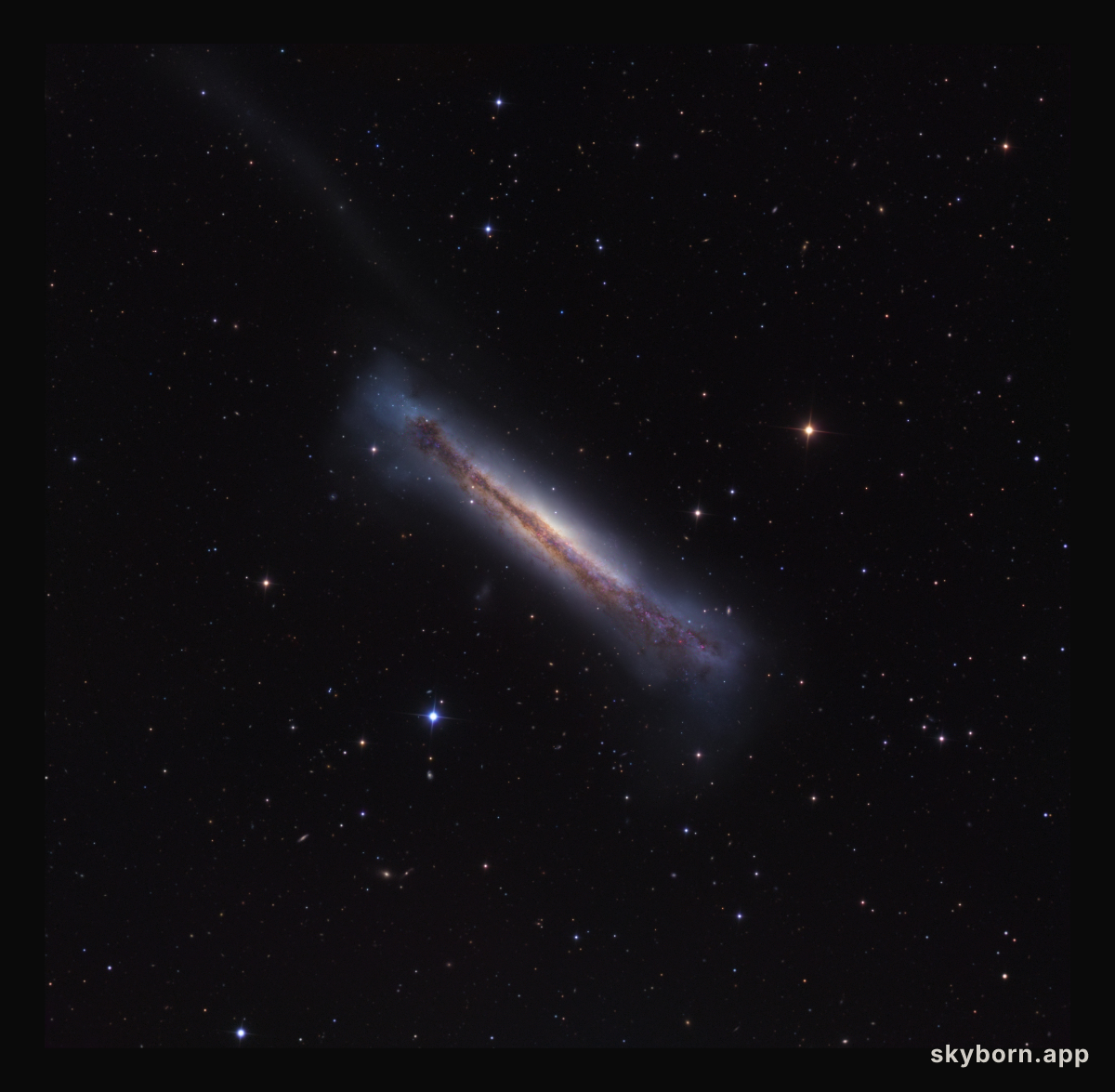 Sideways Galaxy NGC 3628