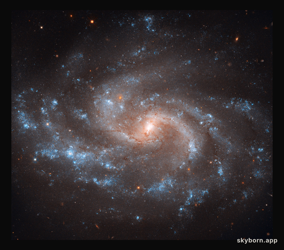 NGC 5584: Expanding the Universe
