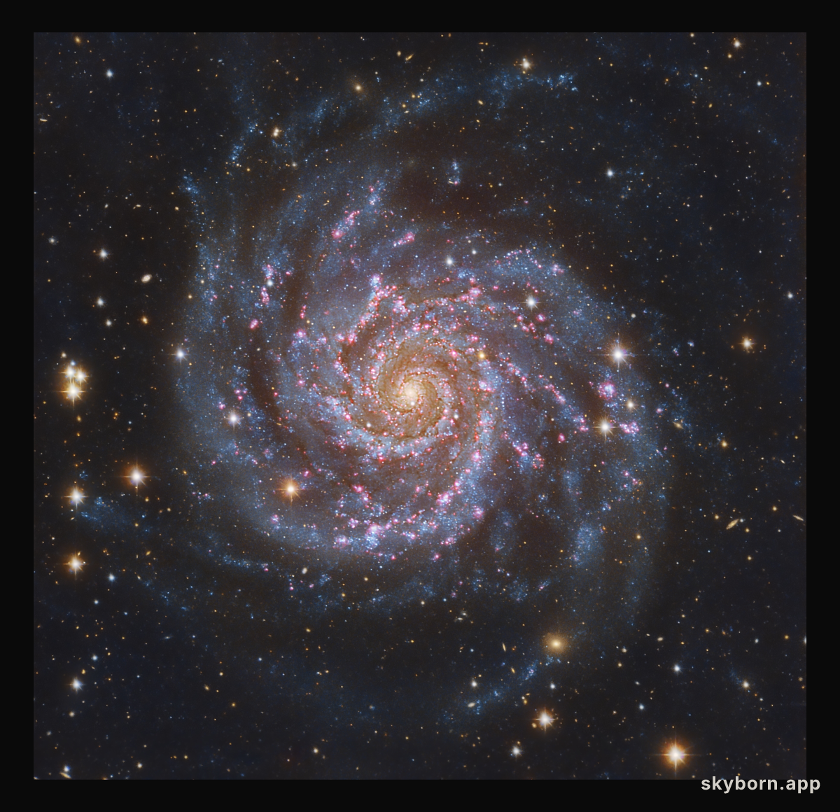 M74: The Perfect Spiral