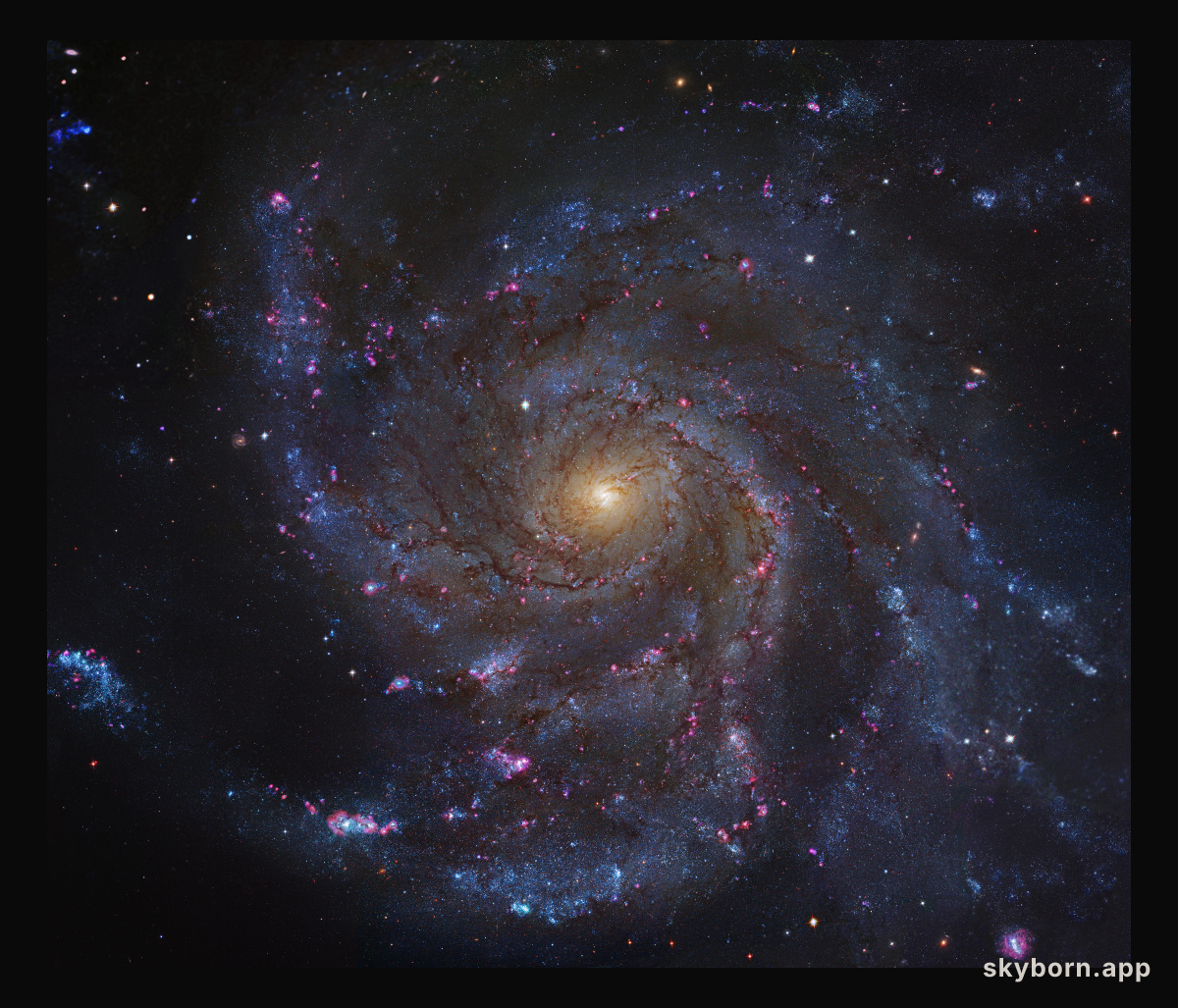 Messier 101