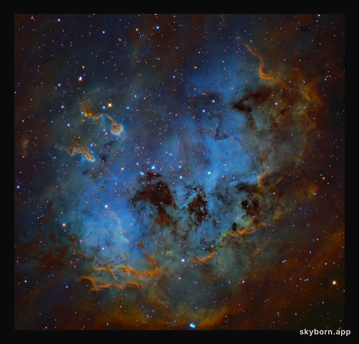 The Tadpoles of IC 410