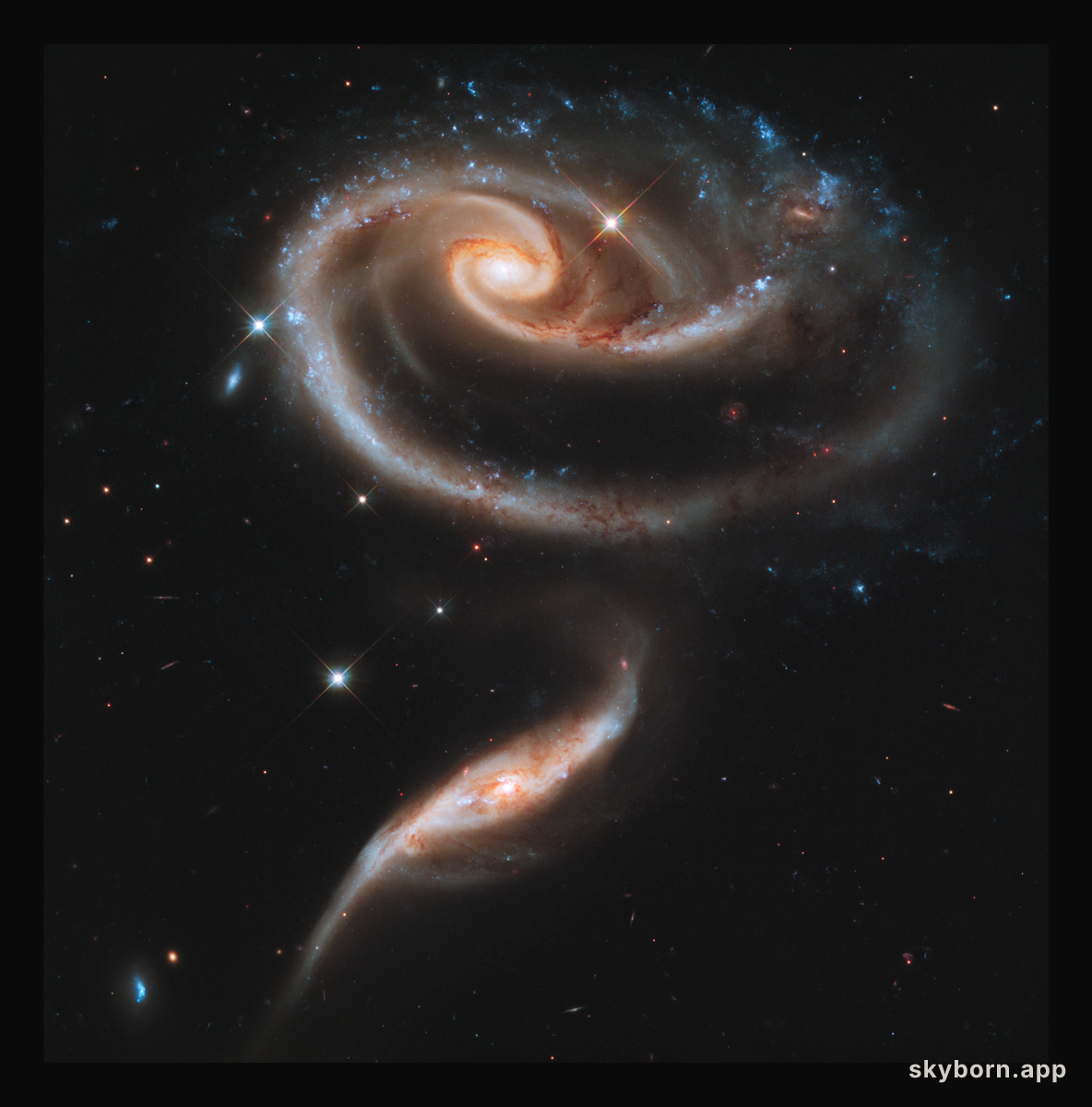 Peculiar Galaxies of Arp 273