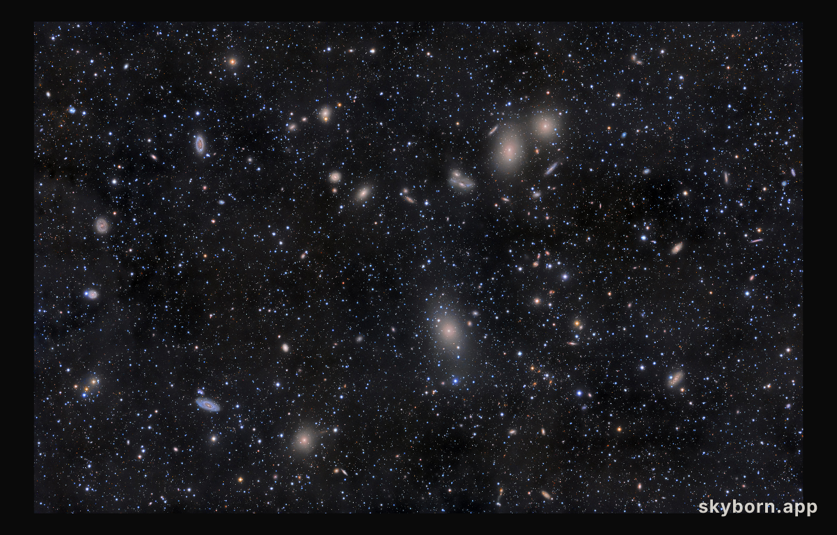Virgo Cluster Galaxies