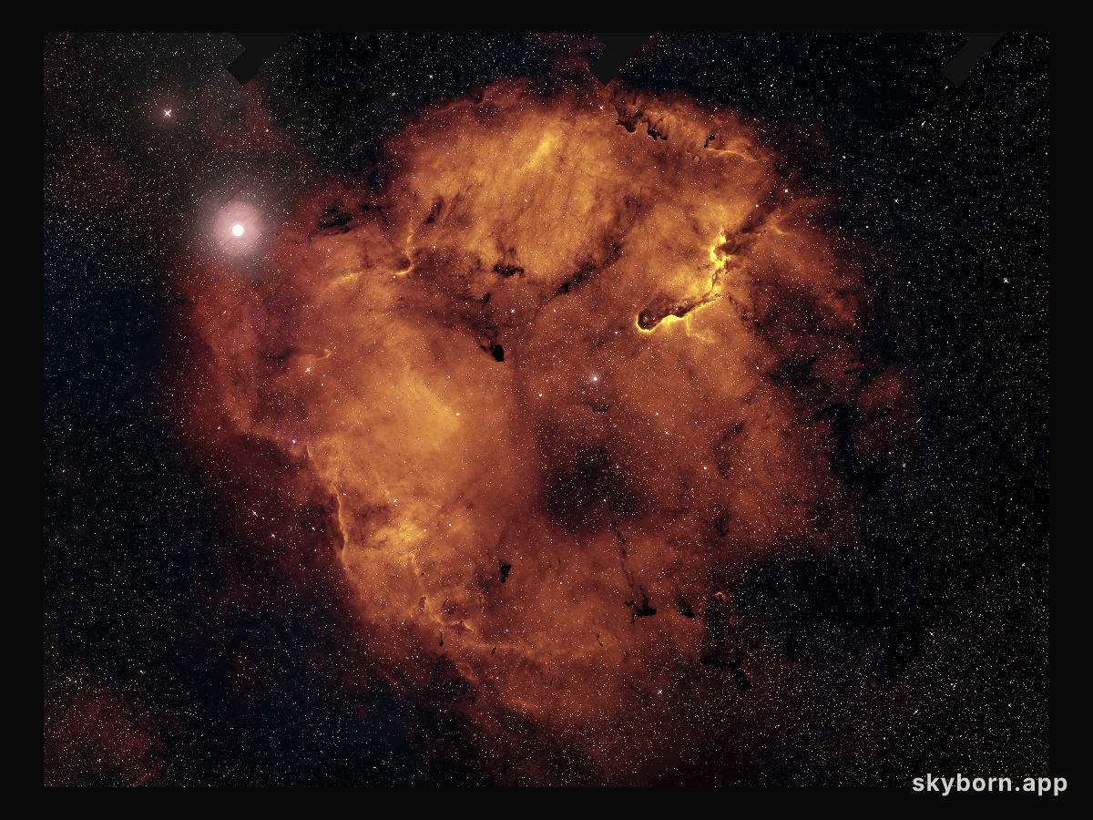 Monsters of IC 1396
