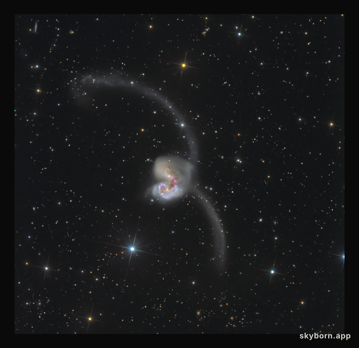 The Antennae
