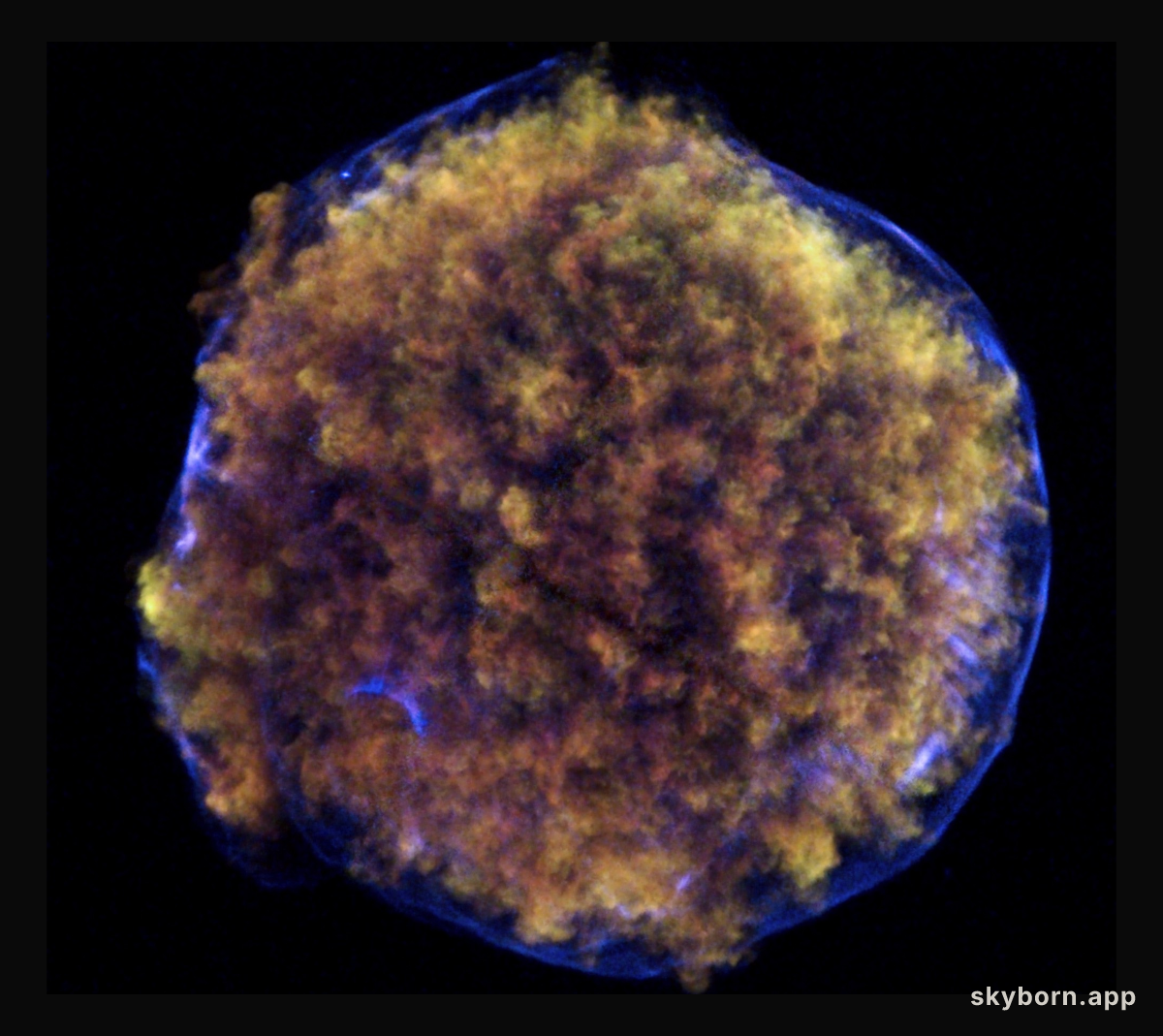 Tycho's Supernova Remnant