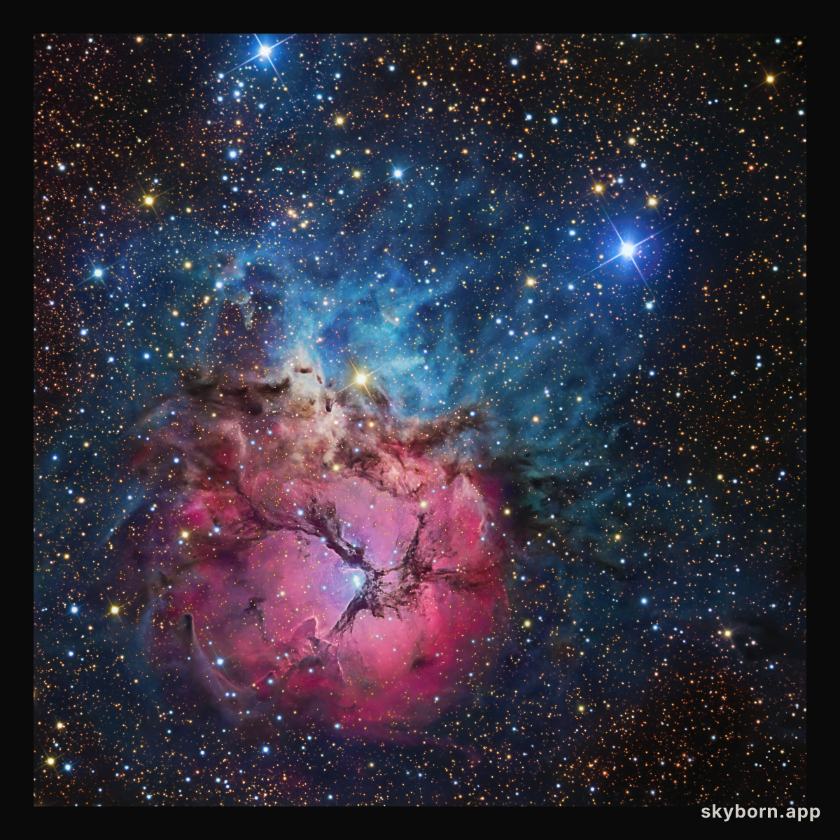 A Beautiful Trifid