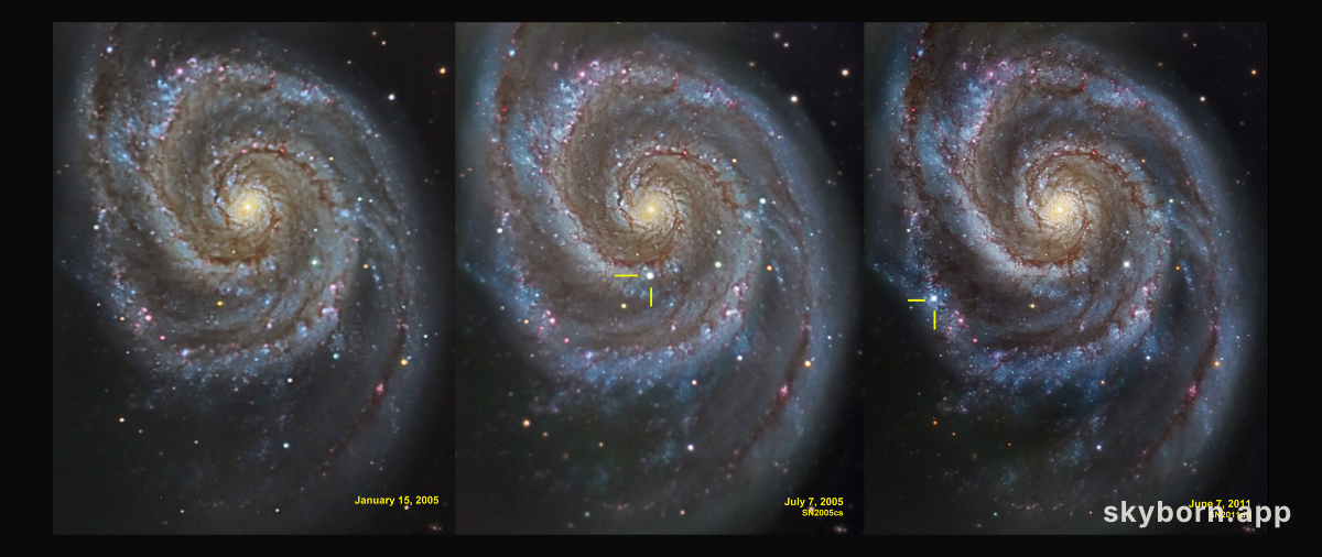 Supernovae in the Whirlpool