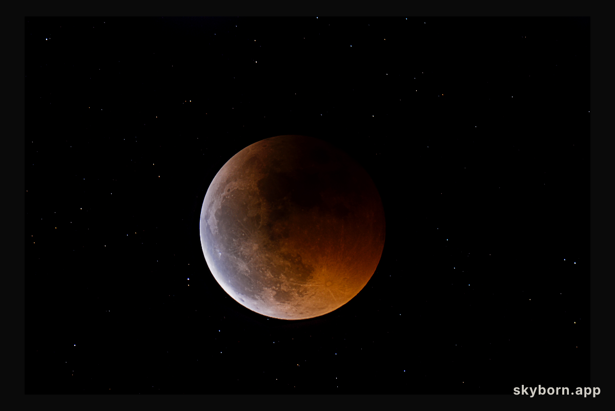 Eclipsed Moonlight