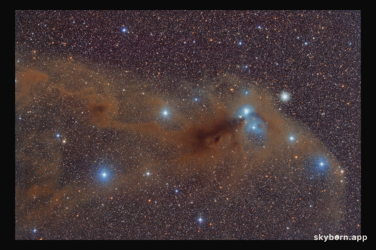 Stars and Dust Across Corona Australis