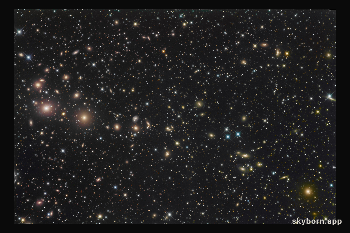 The Perseus Cluster of Galaxies
