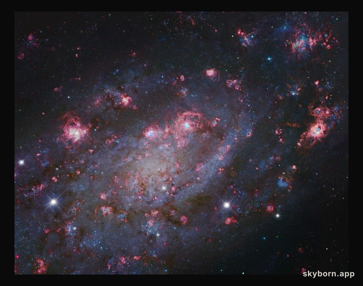 NGC 2403 in Camelopardalis