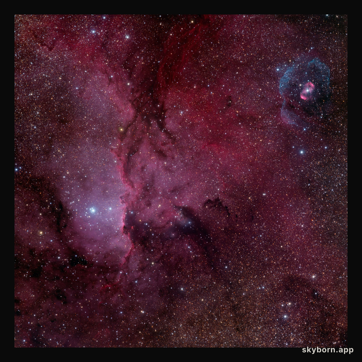 NGC 6188 and NGC 6164