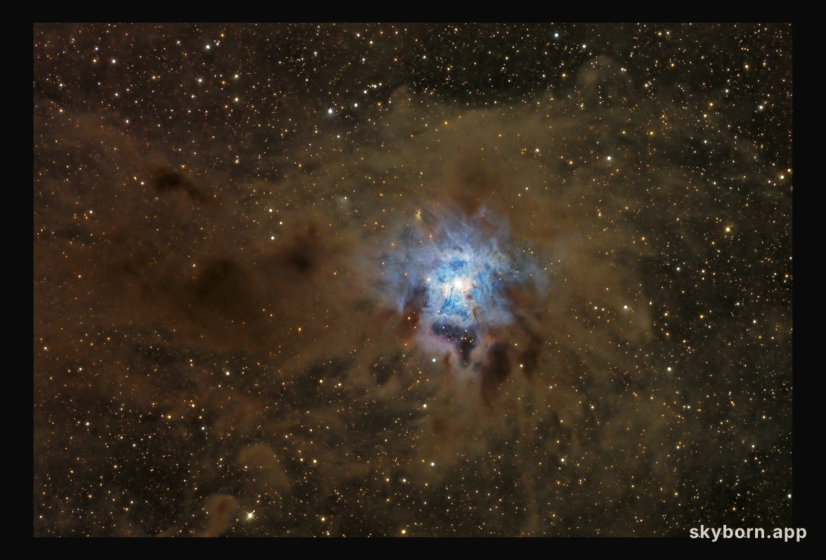 A Dusty Iris Nebula