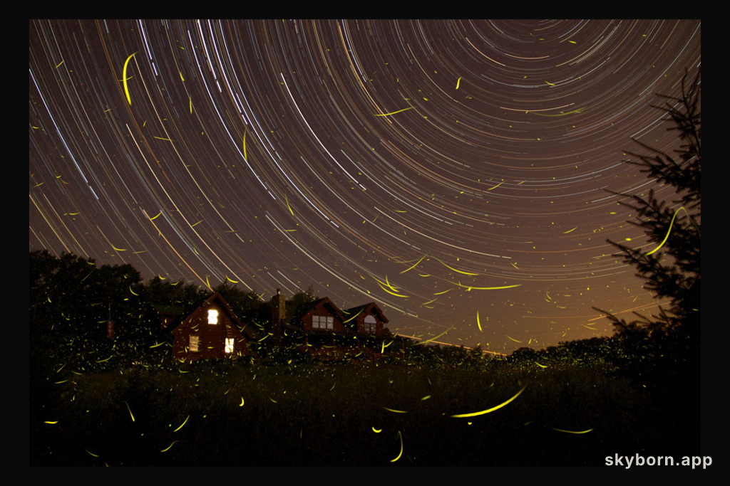 A Summer Night's Dream