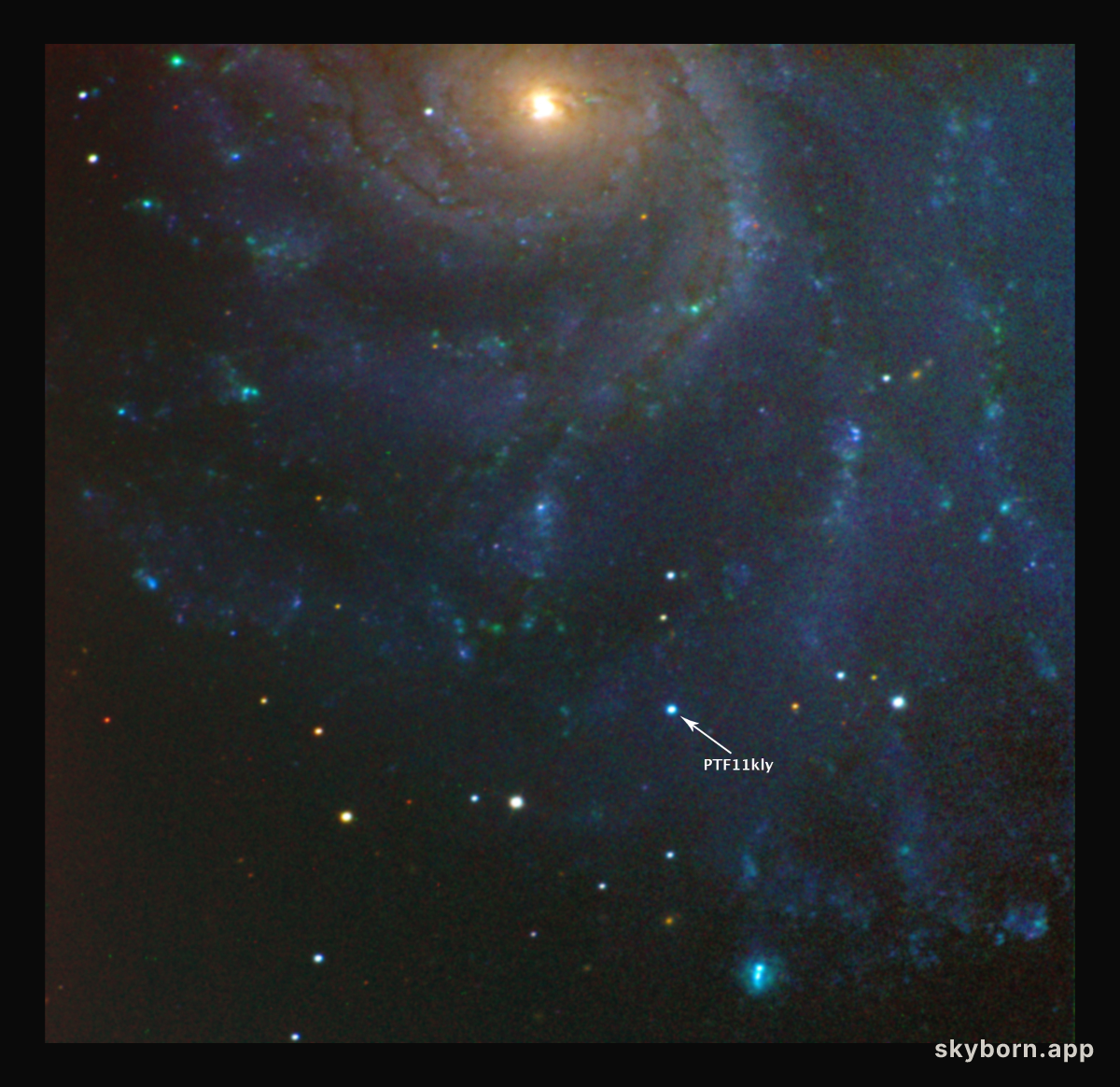 A Young Supernova in the Nearby Pinwheel Galaxy