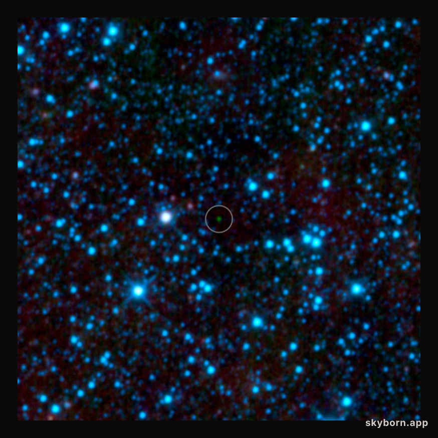 The Coldest Brown Dwarf