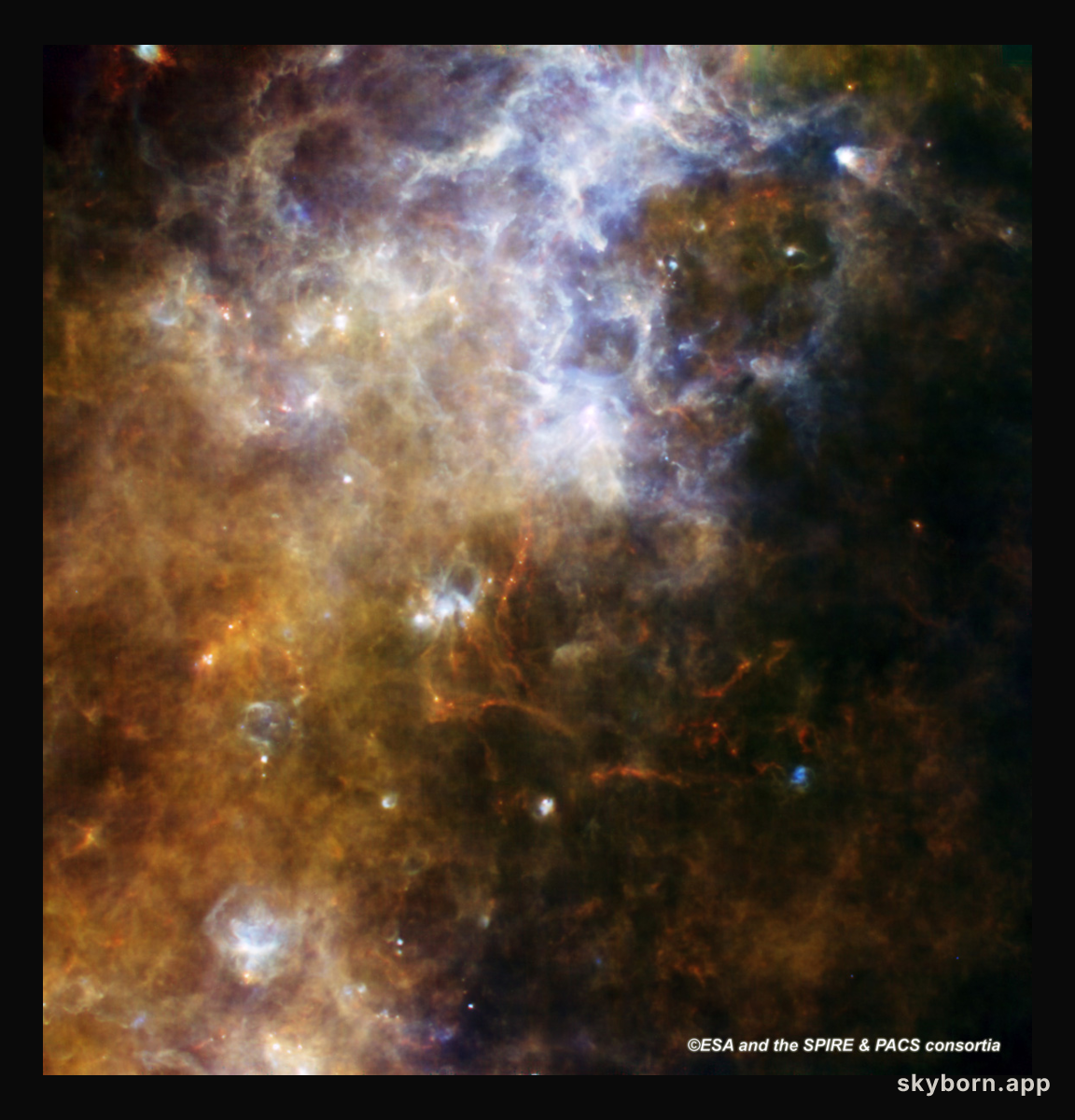 Herschel Views the Milky Way