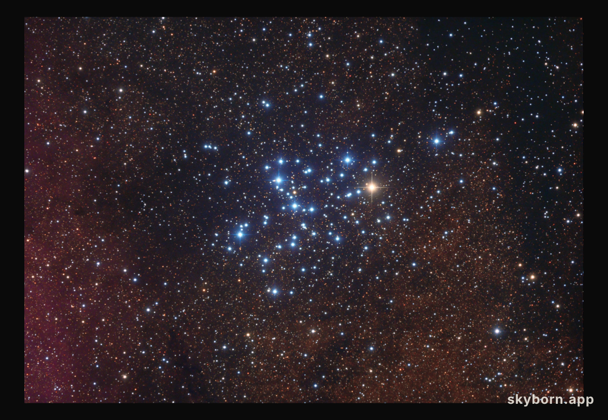 M6: The Butterfly Cluster
