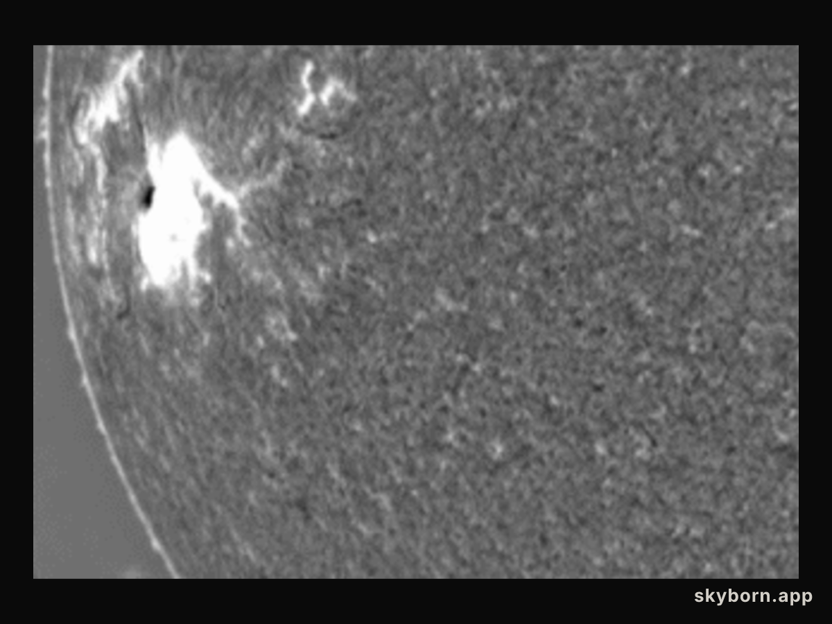 A Large Tsunami Shock Wave on the Sun