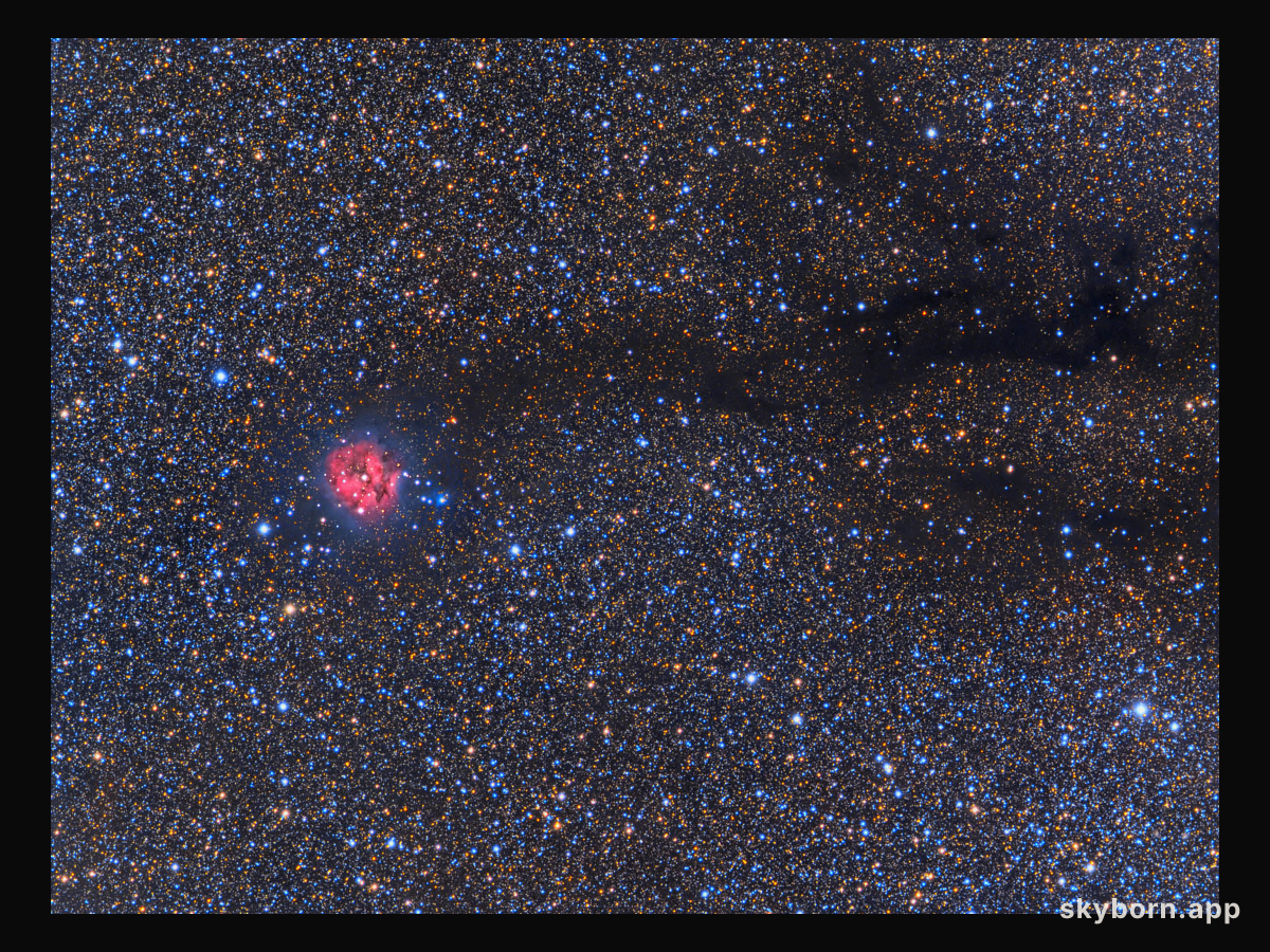 Cocoon Nebula Wide Field