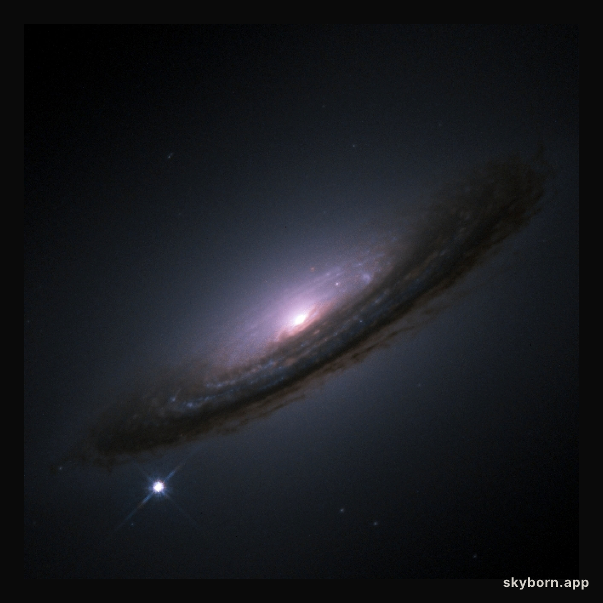 Nobels for a Strange Universe