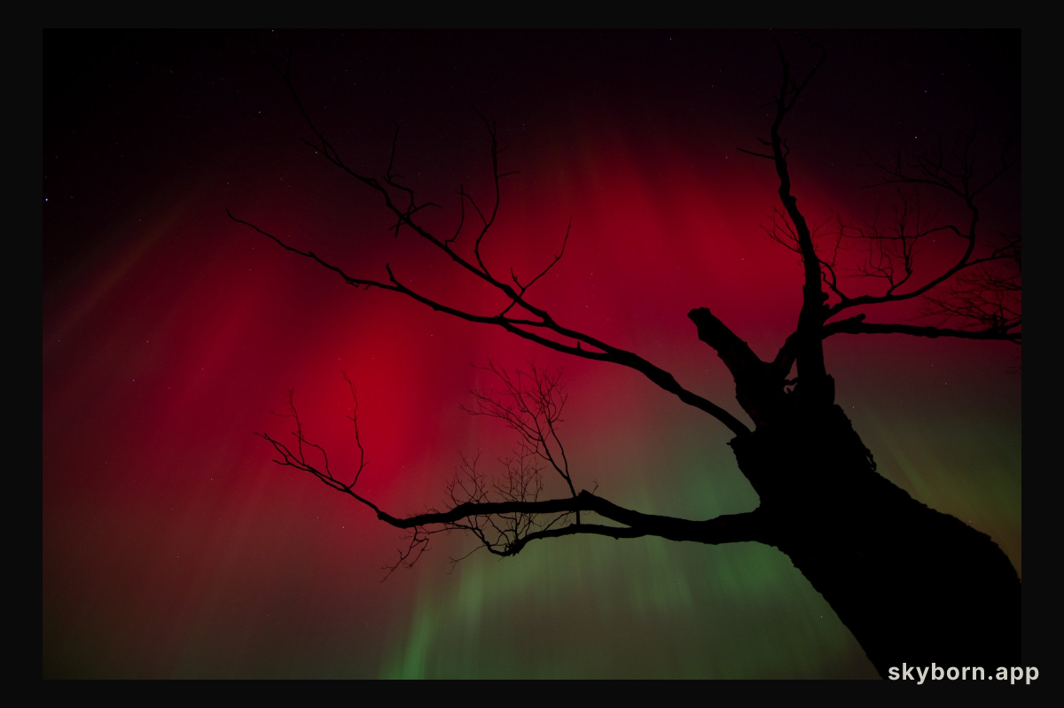 October Skylights