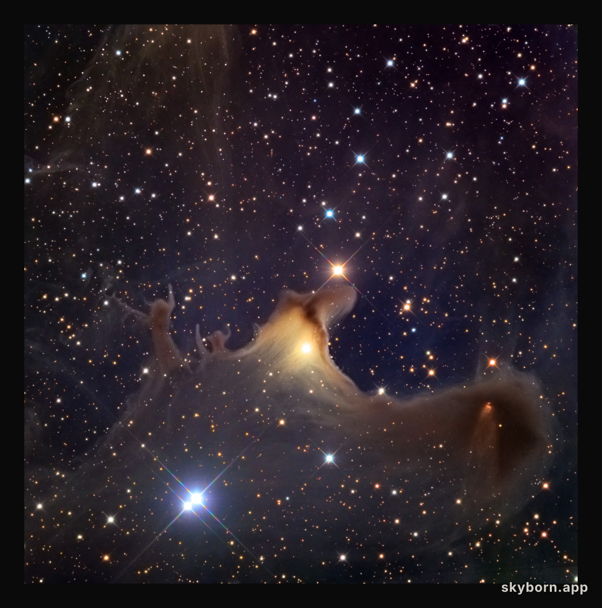 Ghost of the Cepheus Flare