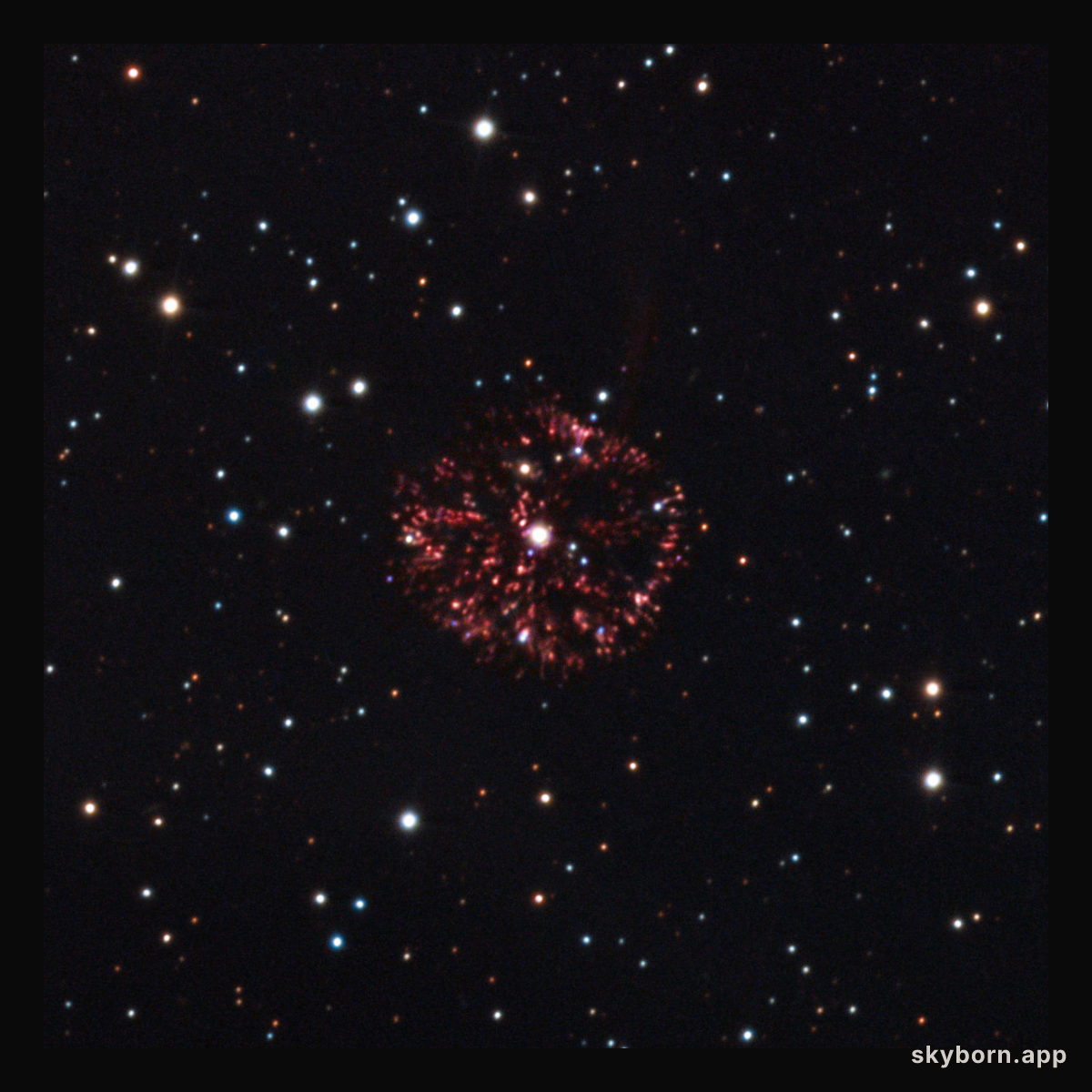 GK Per: Nova of 1901