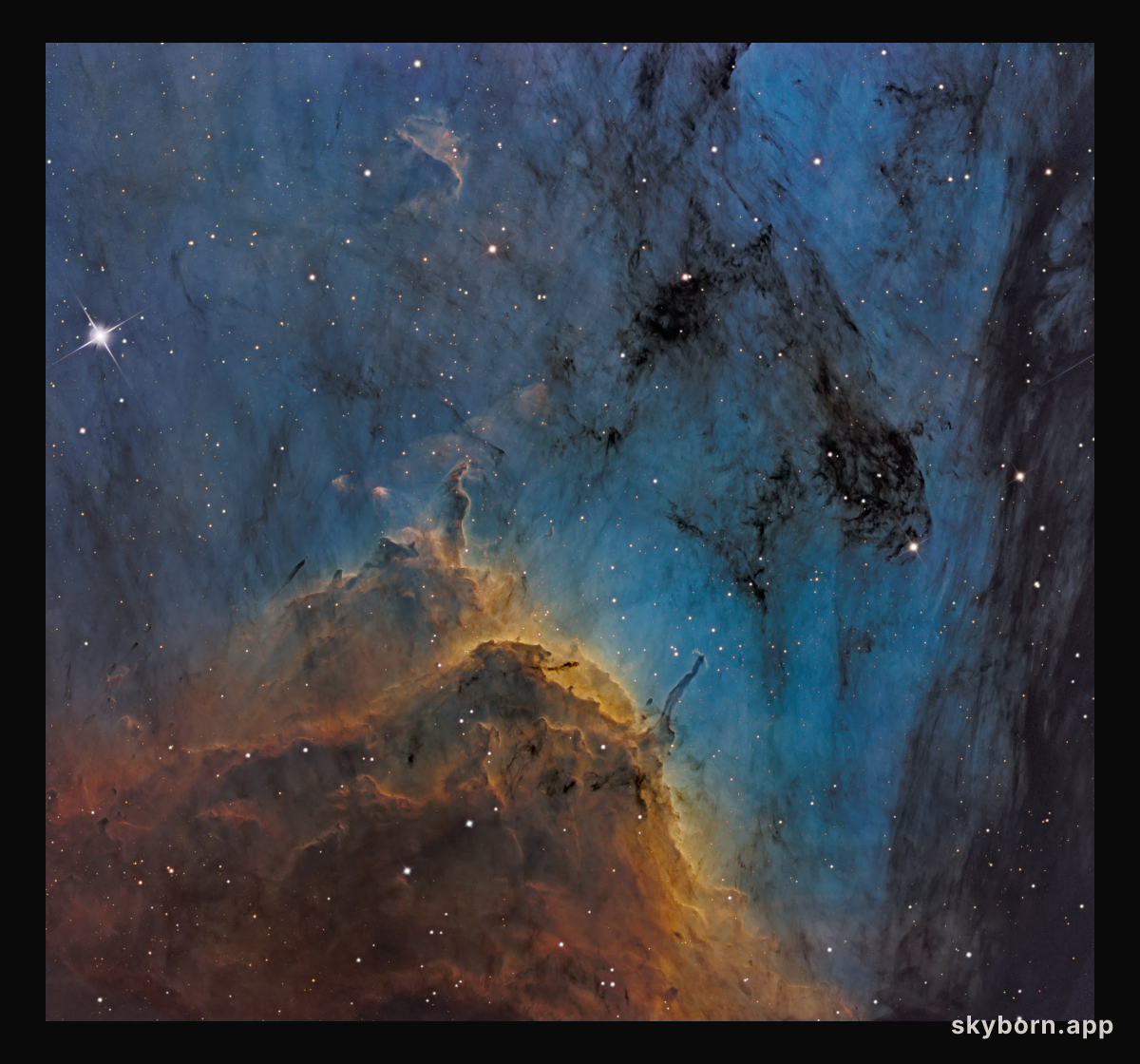 Pelican Nebula Close-up