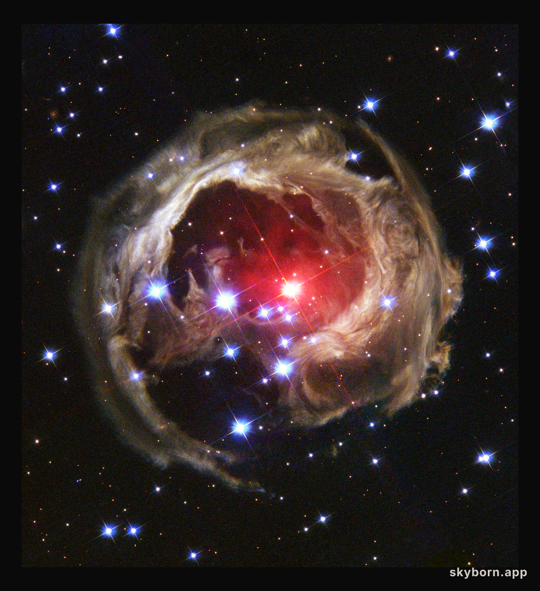 Light Echoes from V838 Mon