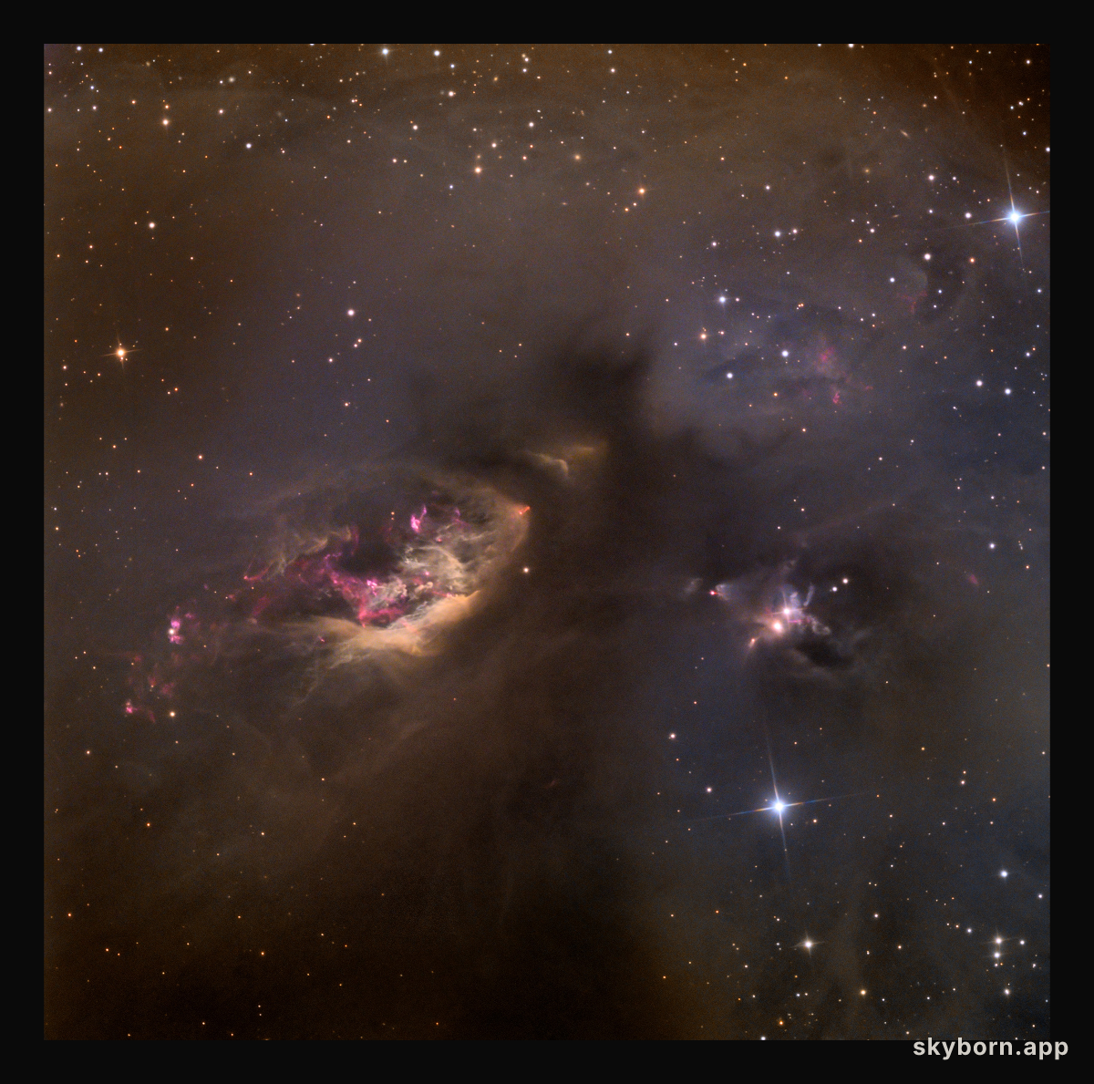 Sh2-239: Celestial Impasto