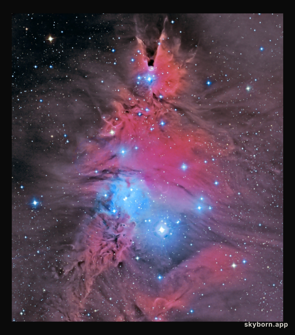 In the Vicinity of the Cone Nebula