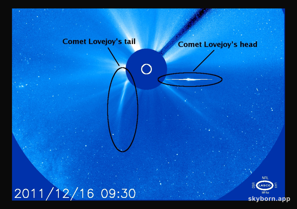 Comet Lovejoy: Sungrazing Survivor