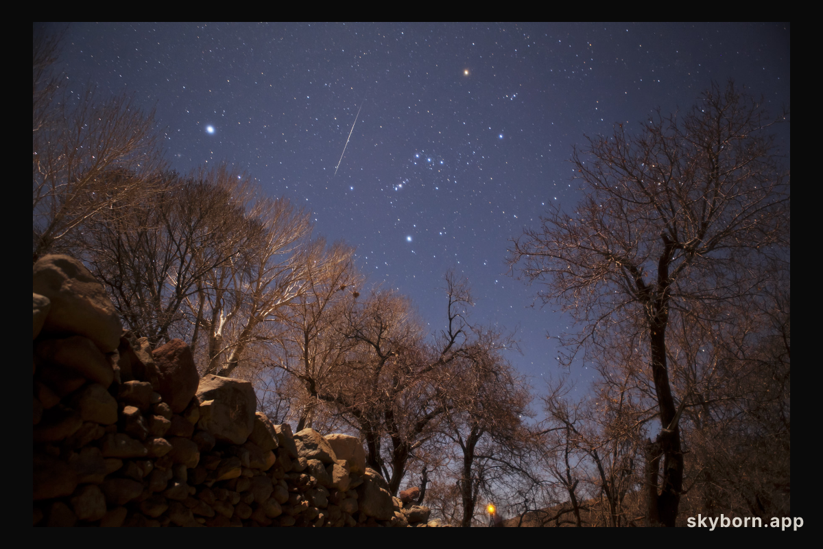 A Geminid Meteor Over Iran