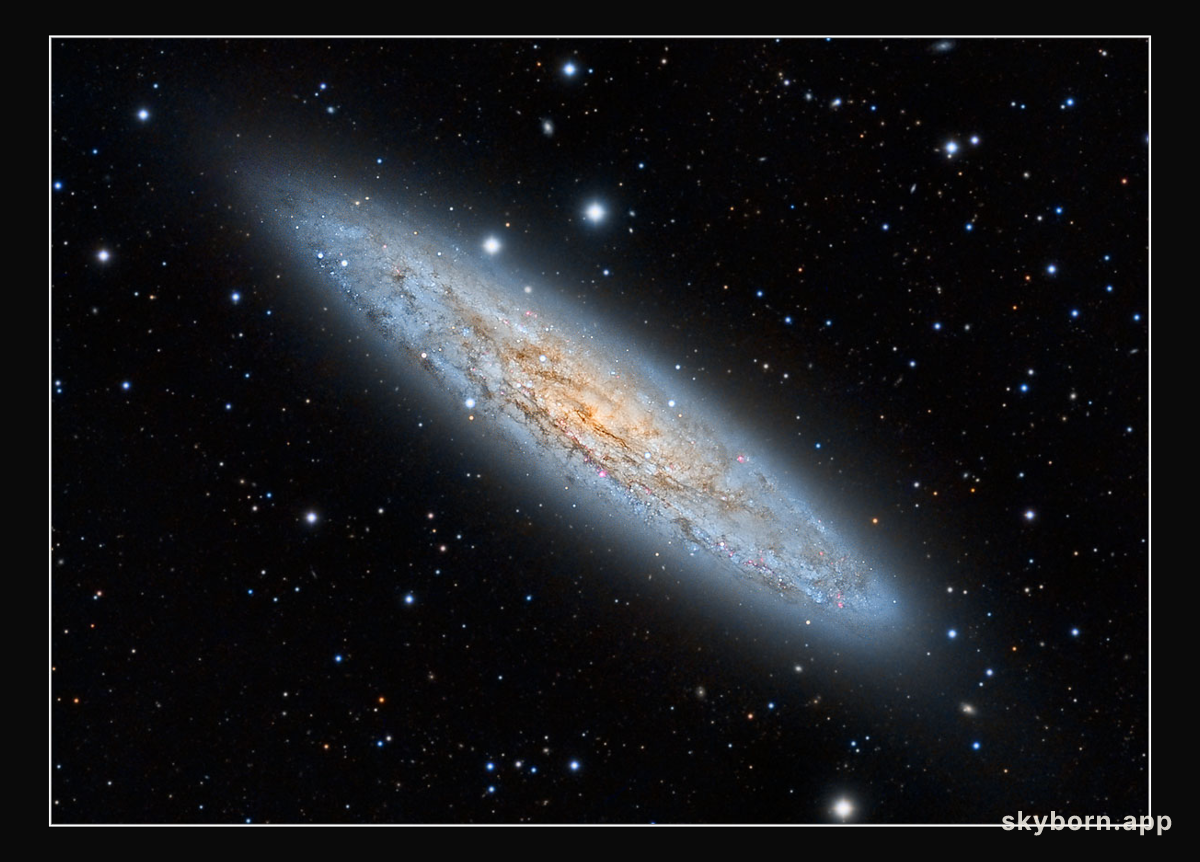 NGC 253: The Sculptor Galaxy