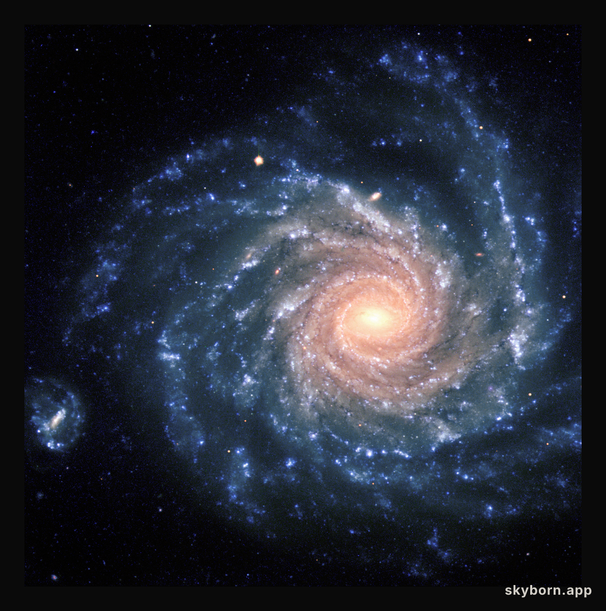Grand Spiral Galaxy NGC 1232
