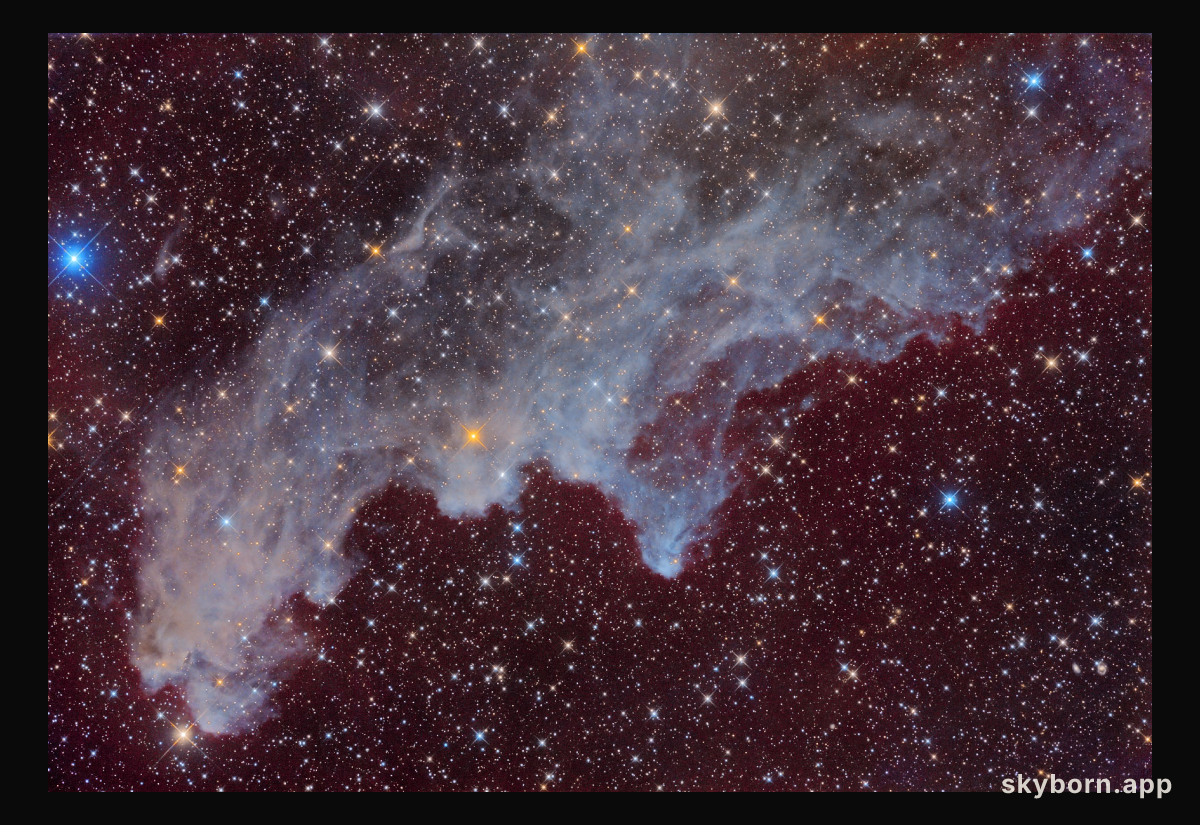 IC 2118: The Witch Head Nebula