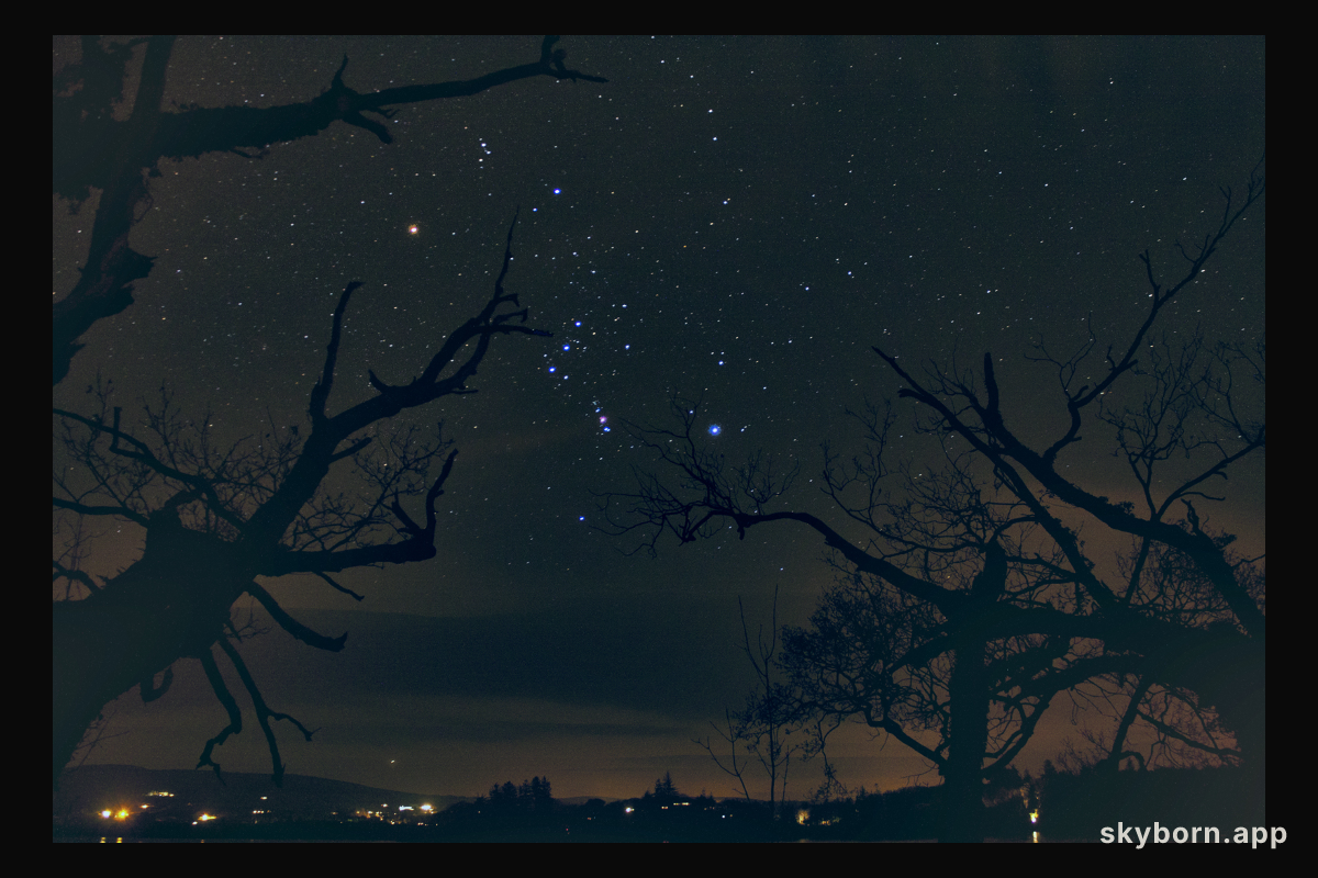The Hunter's Stars