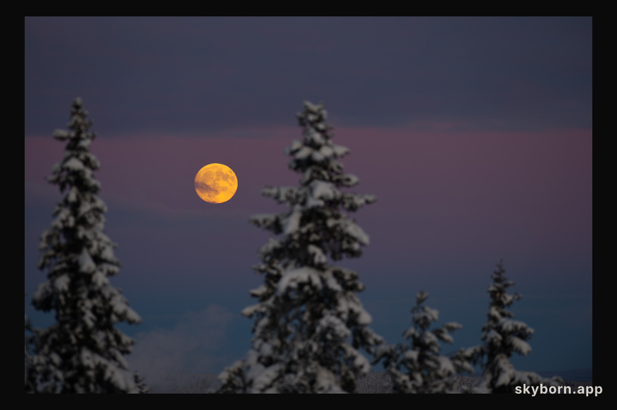 The Wolf's Moon