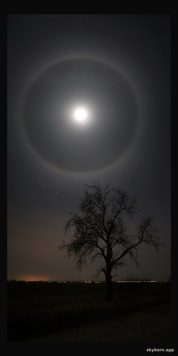 A February Moon's Halo