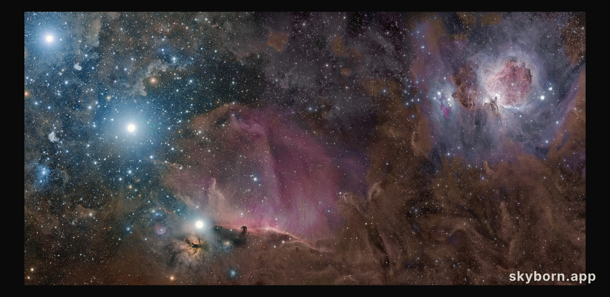 Orion in Gas, Dust, and Stars