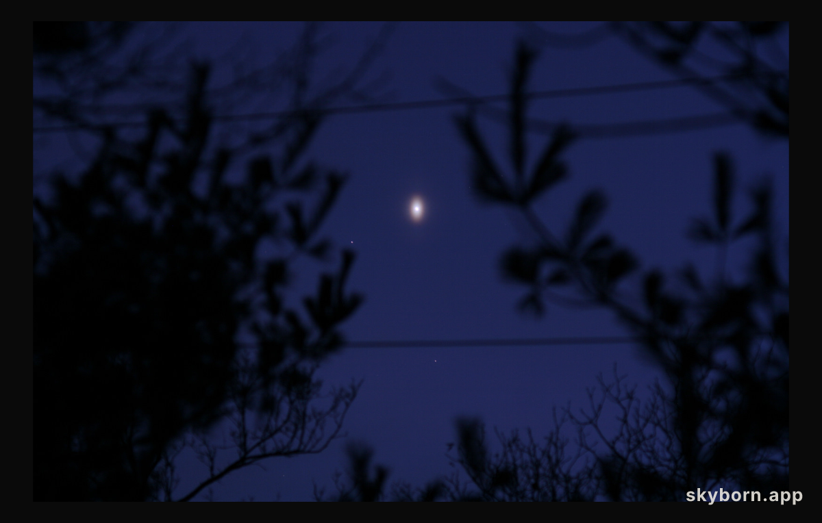 An Unusual Venusian Oval